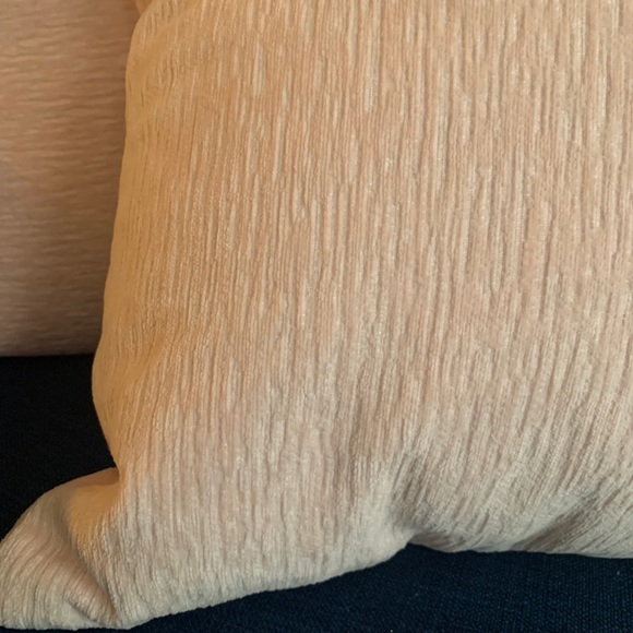 Light Pink Throw Pillows from Target - Picture 2 of 2